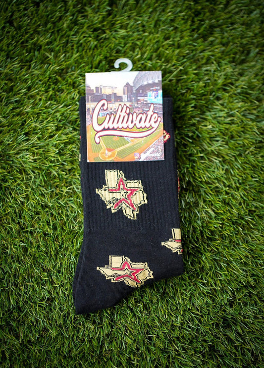 Cultivate Texas State Stro Socks (Black)